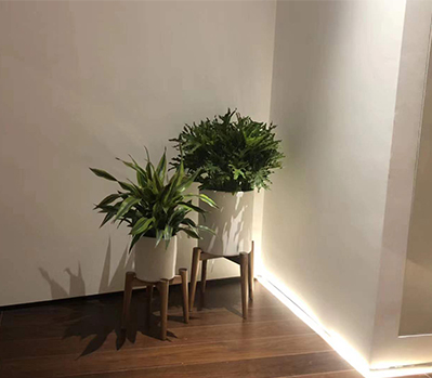 绿植租摆案例