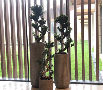 绿植租摆案例