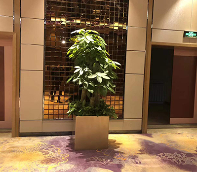 绿植租摆案例