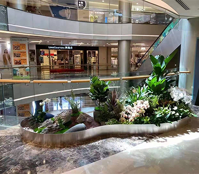 绿植租摆案例